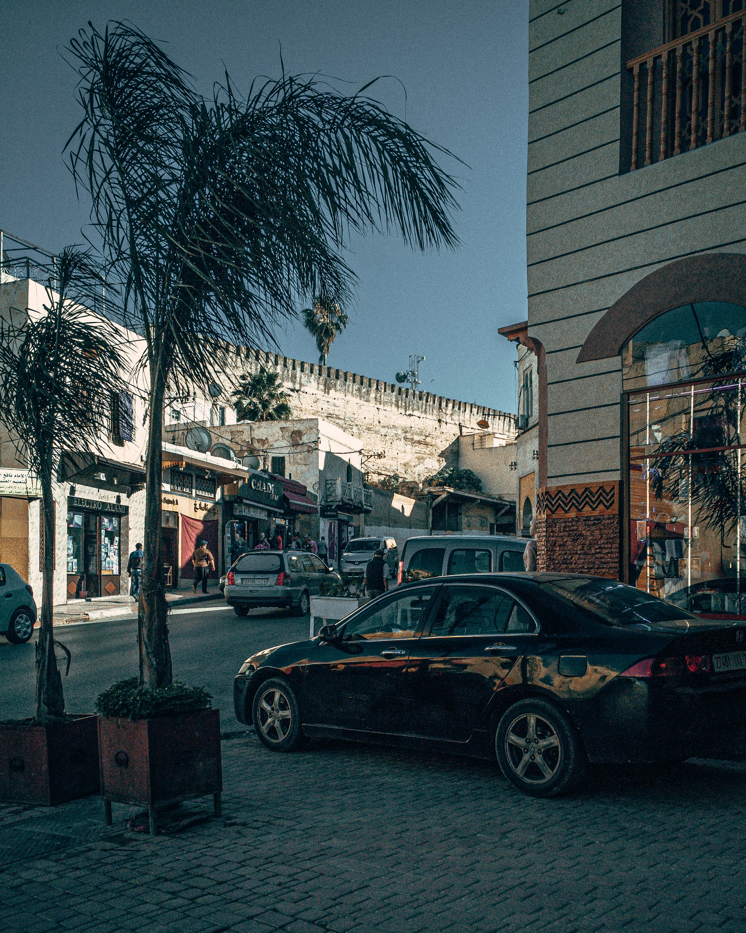 black sedan parked beside palm tree during daytime